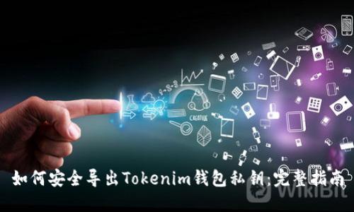 如何安全导出Tokenim钱包私钥：完整指南