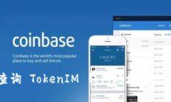 如何查询 TokenIM 钱包地址的交易记录