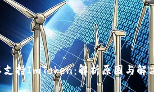 CVT不支持ImToken：解析原因与解决方案