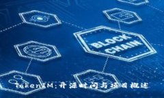 TokenIM：开源时间与项目概述