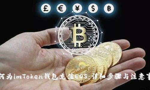 如何为imToken钱包充值EOS：详细步骤与注意事项