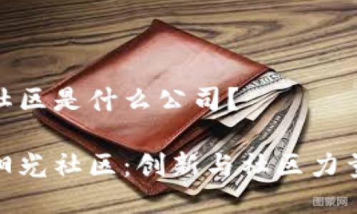区块链阳光社区是什么公司？

揭秘区块链阳光社区：创新与社区力量结合的先锋