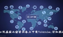 如何在国内安卓设备上下载Tokenim：详细指南