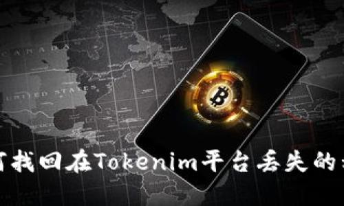 如何找回在Tokenim平台丢失的私钥