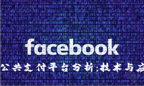 区块链公共支付平台分析：技术与应用前景