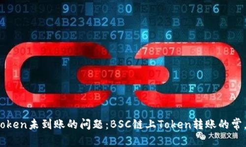 如何解决Token未到账的问题：BSC链上Token转账的常见故障排查