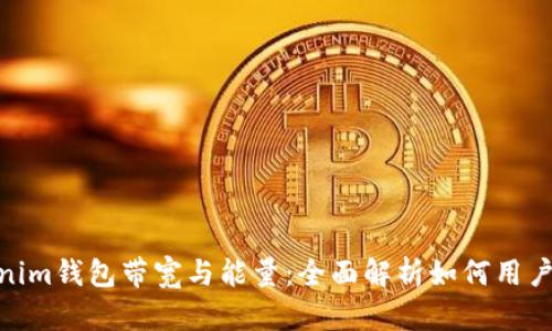 Tokenim钱包带宽与能量：全面解析如何用户体验