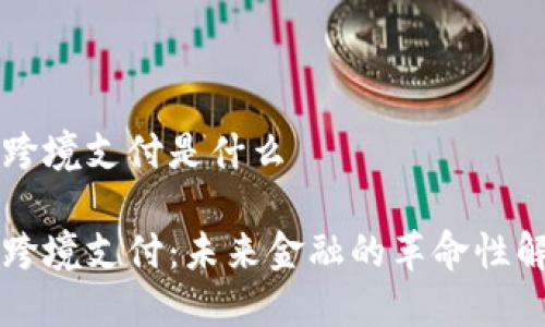 区块链跨境支付是什么

区块链跨境支付：未来金融的革命性解决方案