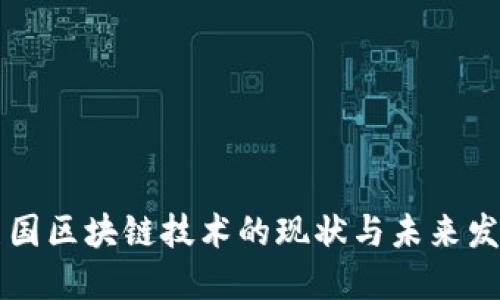 美国区块链技术的现状与未来发展